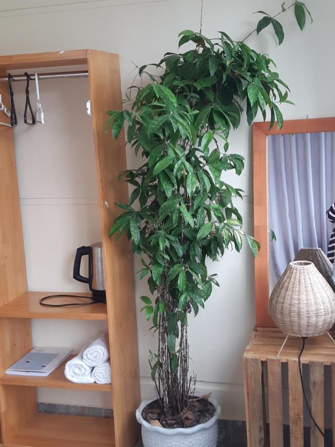 My Dream Hostel Da Lat Esterno foto